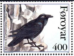 Corvus Corax 2
