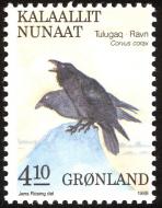 Corvus corax